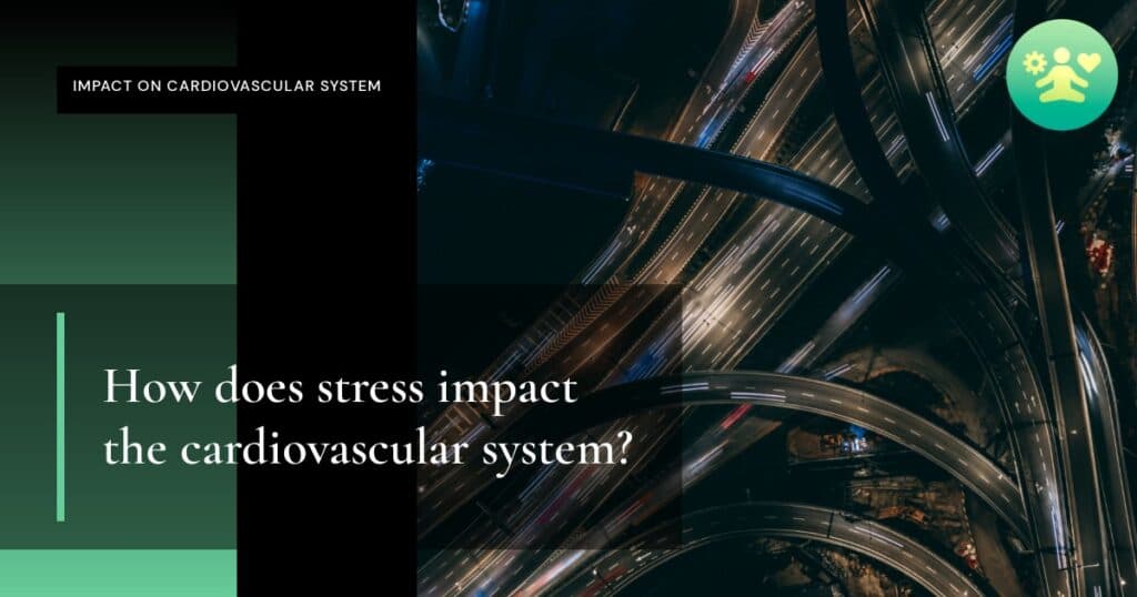 How does stress impact the cardiovascular system?