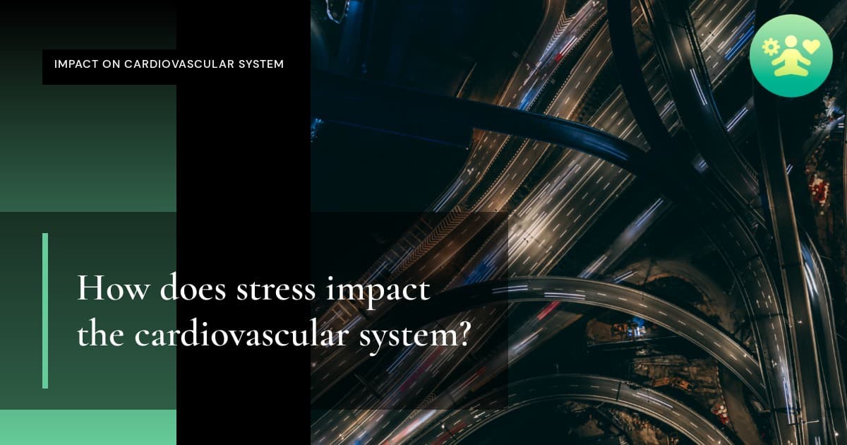How does stress impact the cardiovascular system?