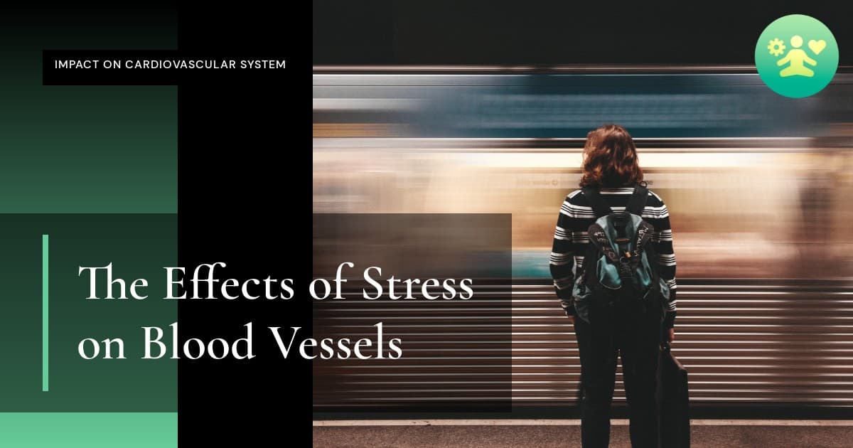The Effects of Stress on Blood Vessels