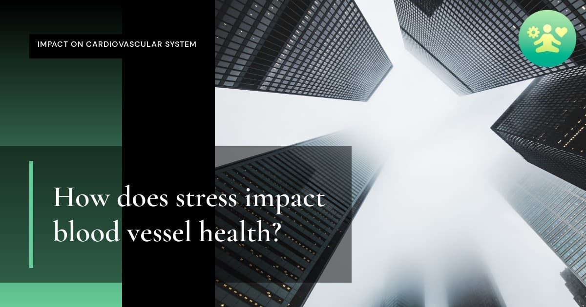 How does stress impact blood vessel health?