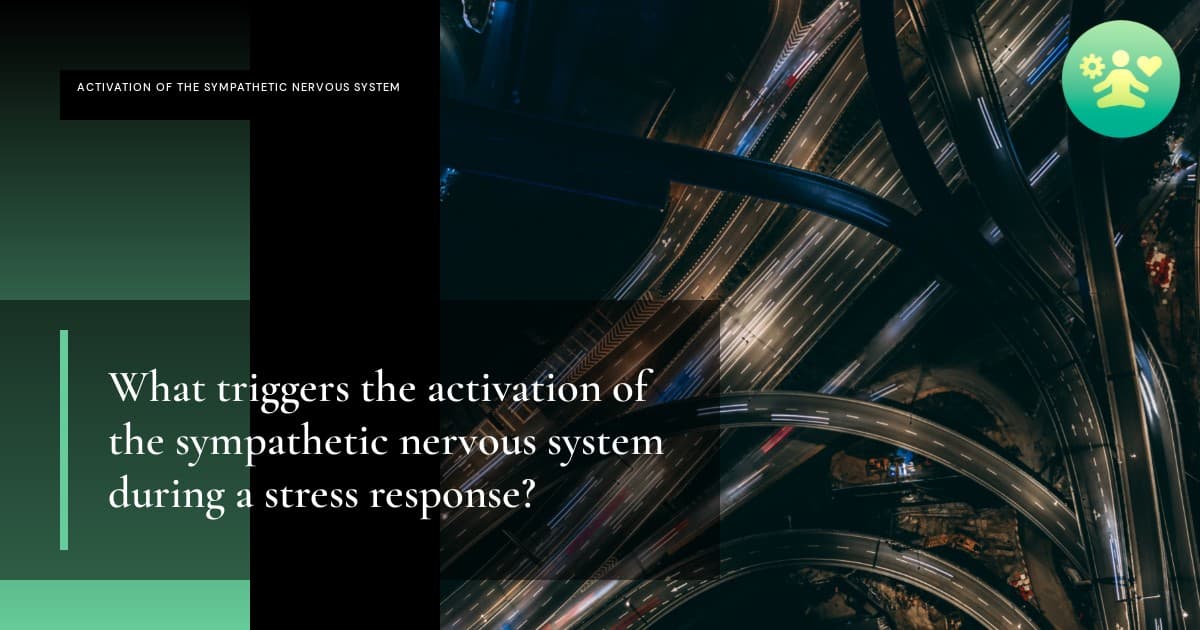 What triggers the activation of the sympathetic nervous system during a stress response?