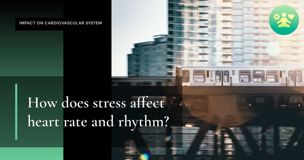How does stress affect heart rate and rhythm?