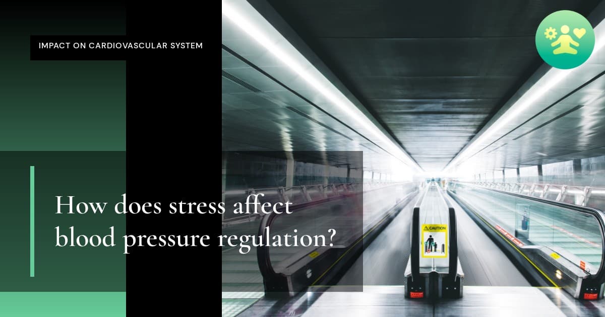 How does stress affect blood pressure regulation?