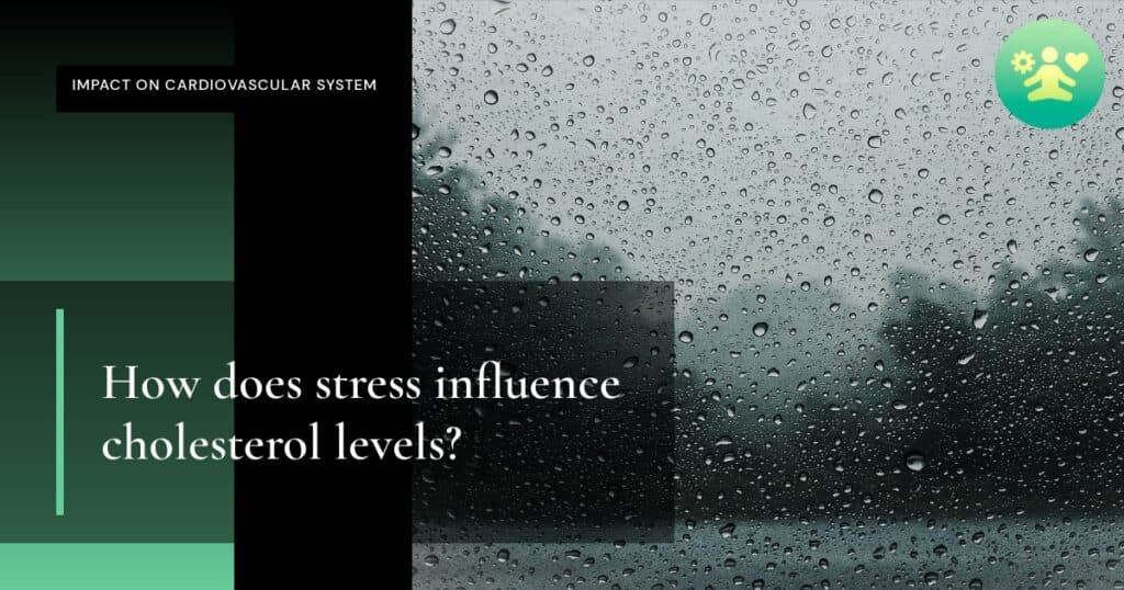 How does stress influence cholesterol levels?