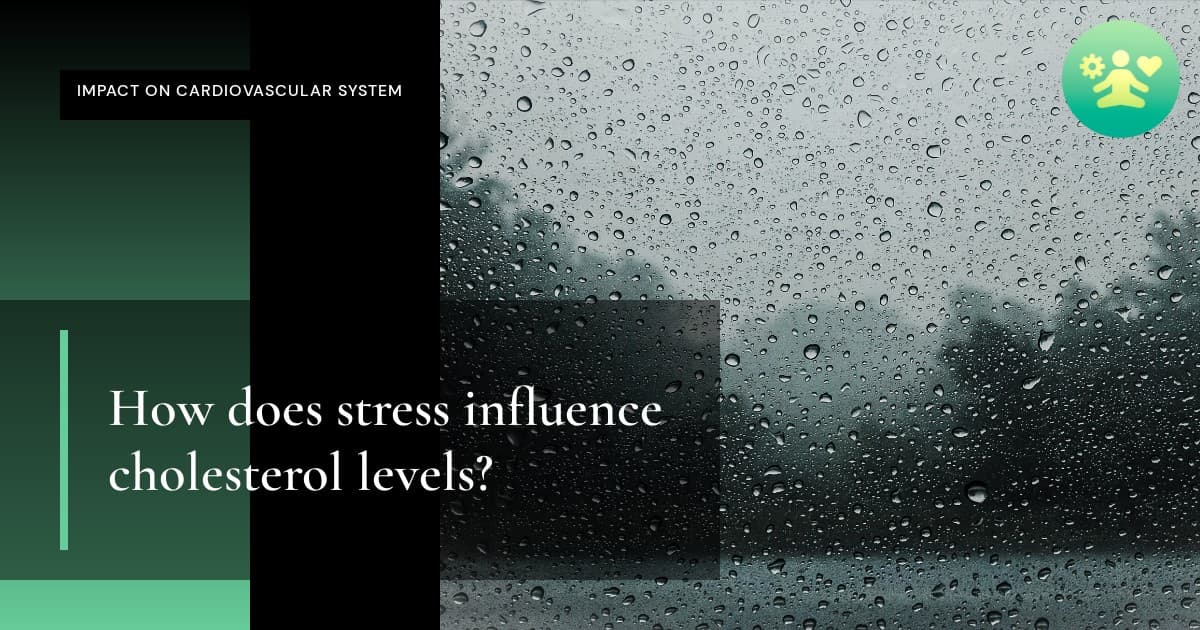 How does stress influence cholesterol levels?